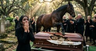 horse-smashes-casket-exposes-funeral-secret